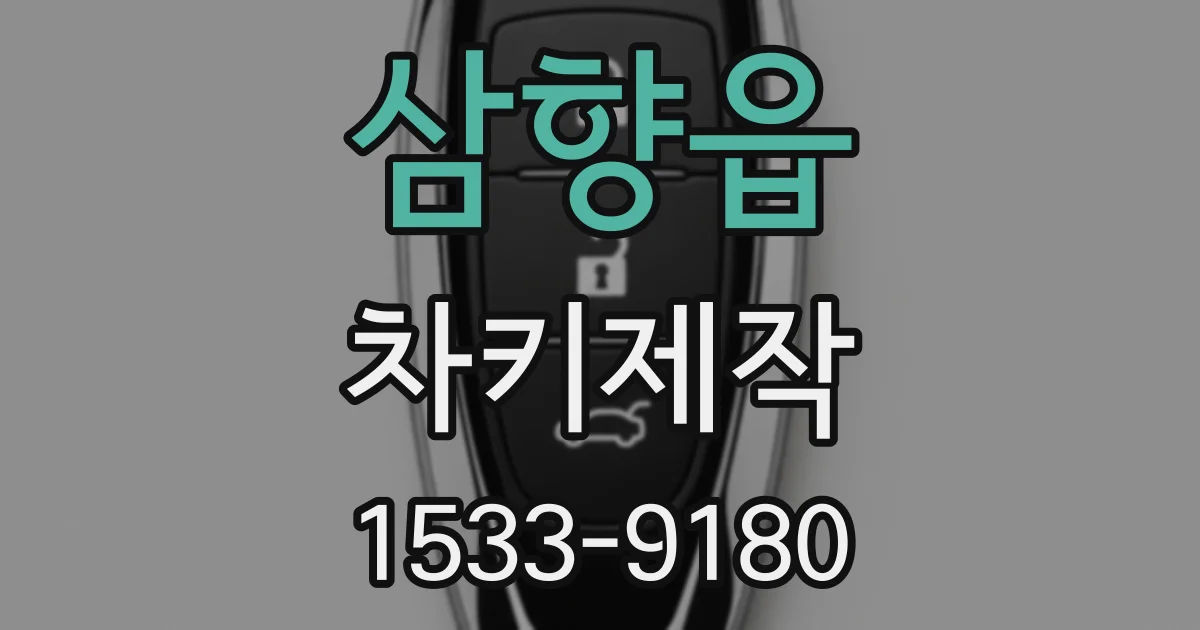 삼향읍 차키제작