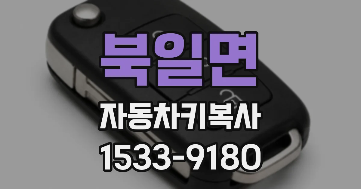 북일면 자동차키복사