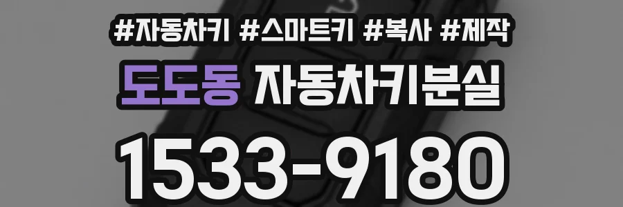 도도동 자동차키분실