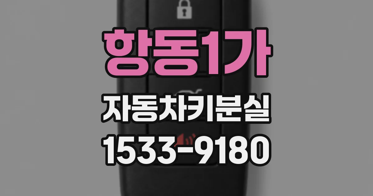 항동1가 자동차키분실
