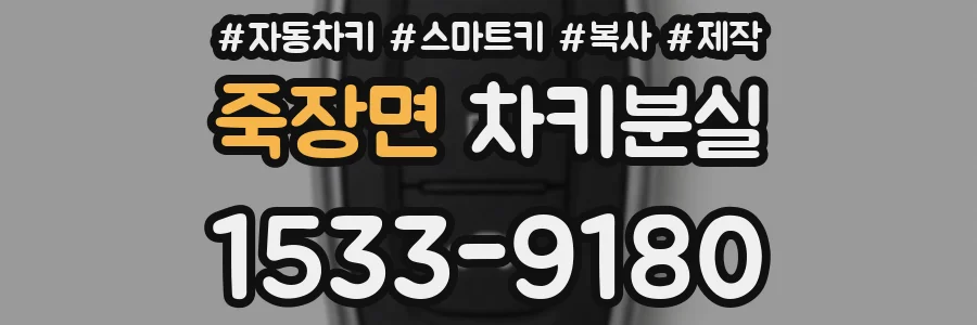 죽장면 차키분실