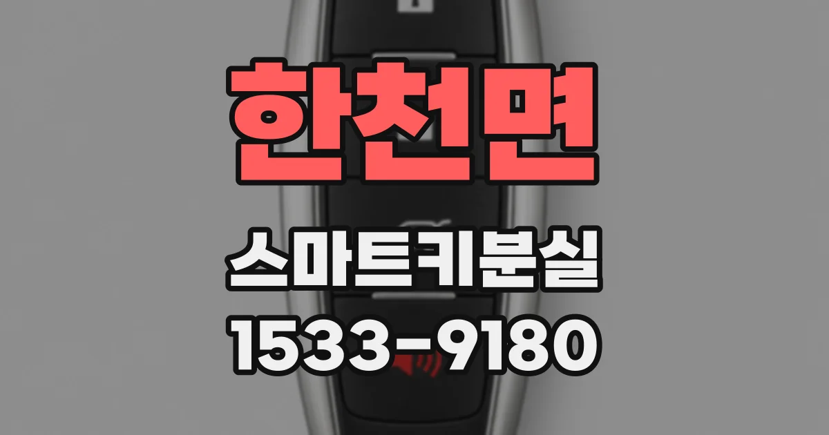 한천면 스마트키분실
