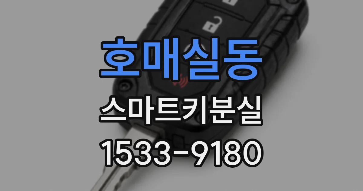 호매실동 스마트키분실
