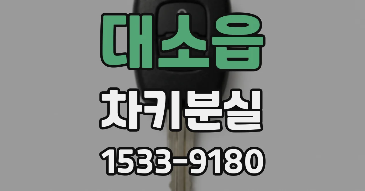 대소읍 차키분실