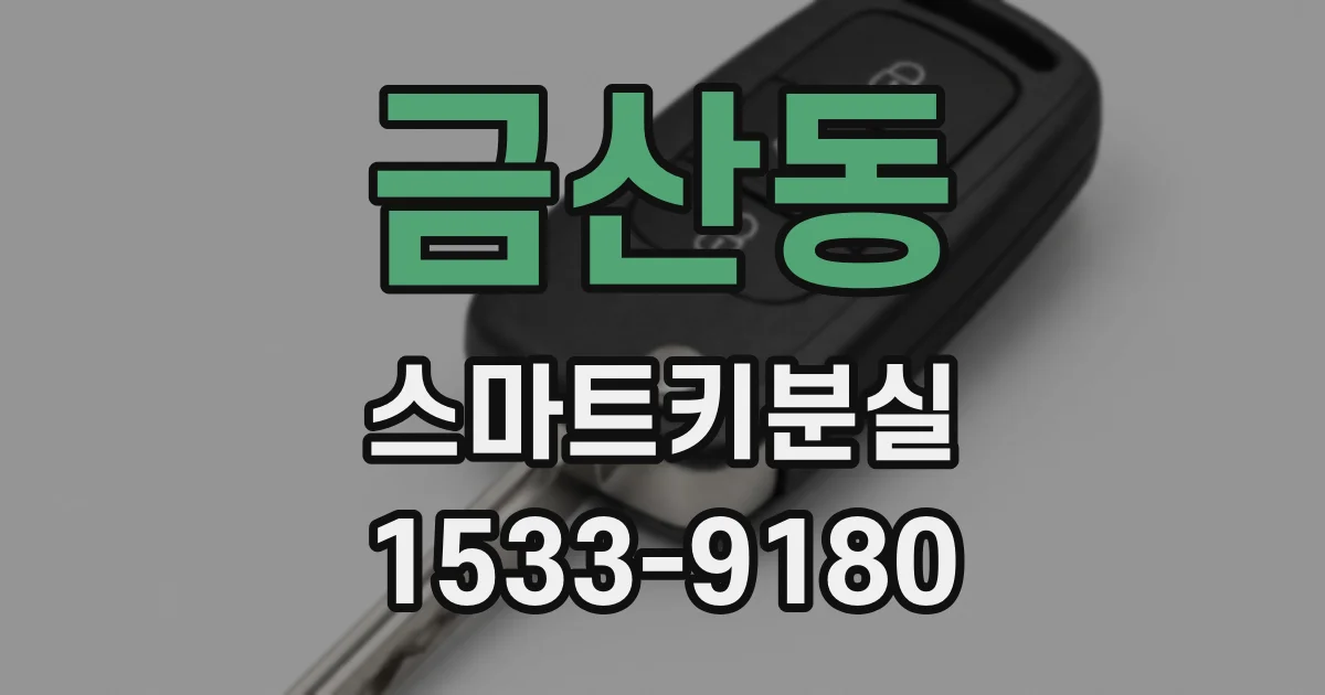 금산동 스마트키분실