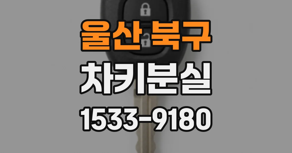 울산 북구 차키분실