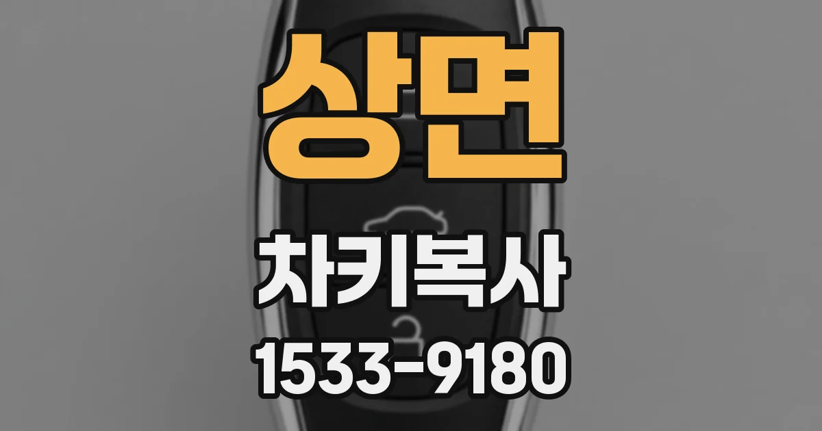 상면 차키복사