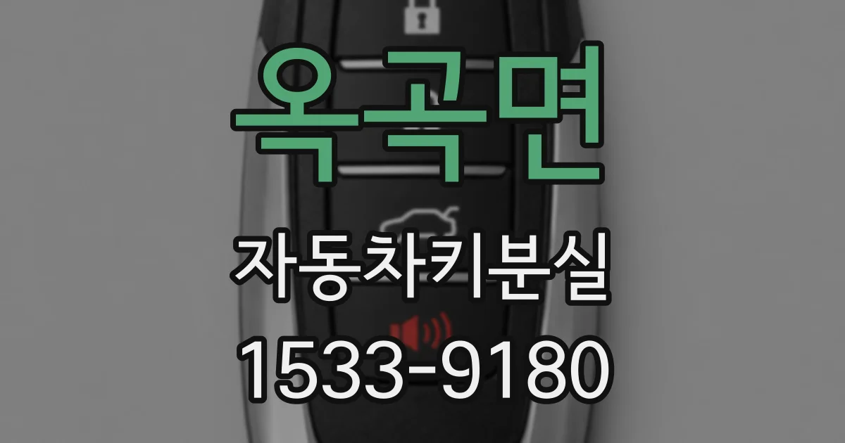 옥곡면 자동차키분실