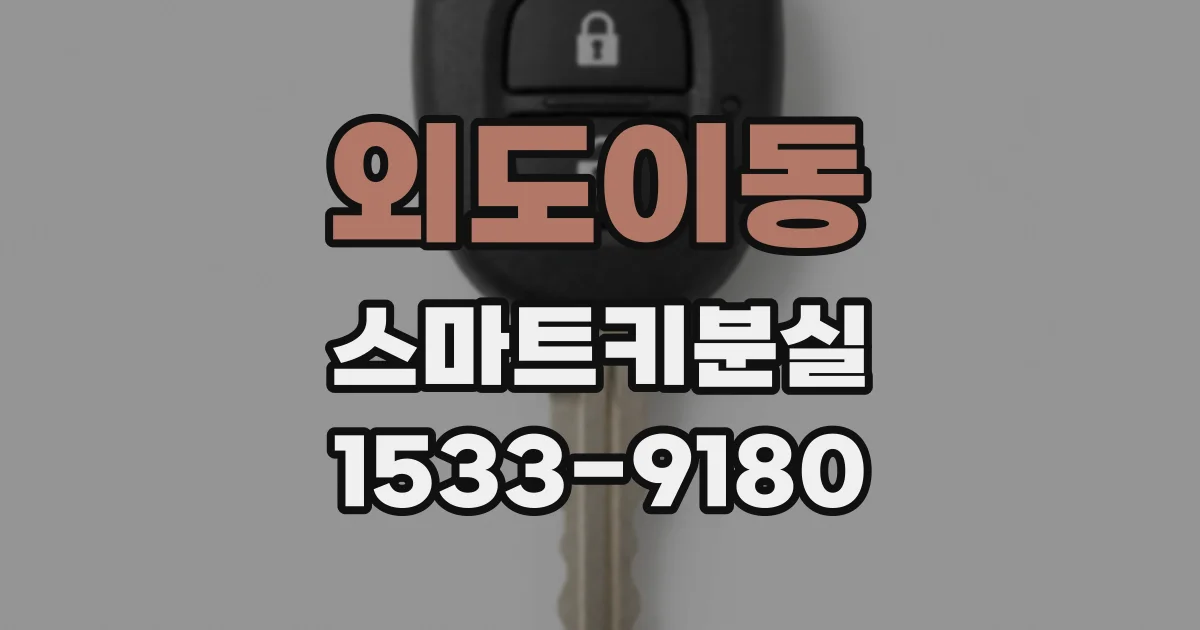 외도이동 스마트키분실