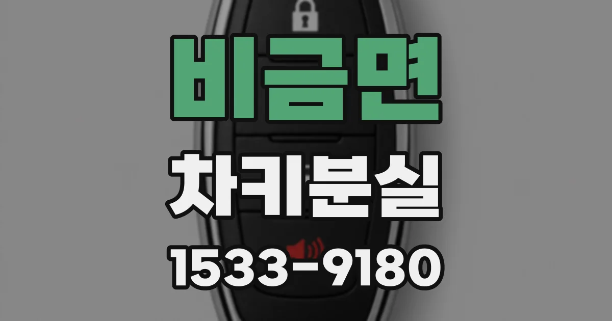 비금면 차키분실