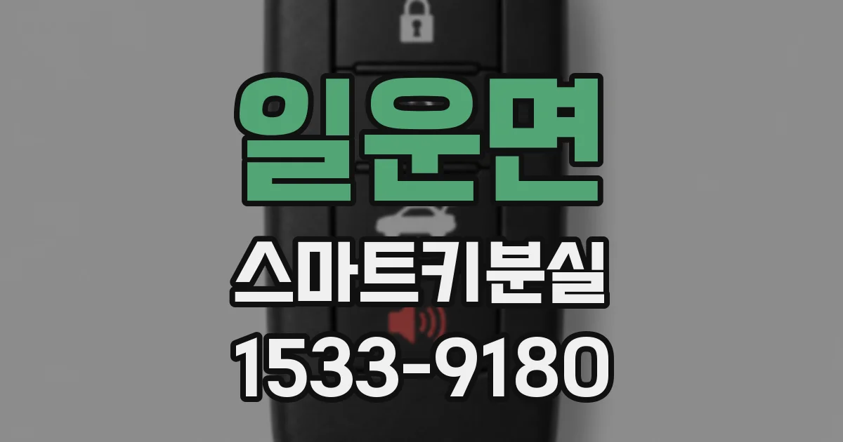 일운면 스마트키분실