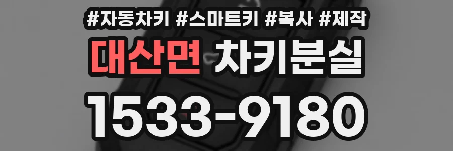대산면 차키분실
