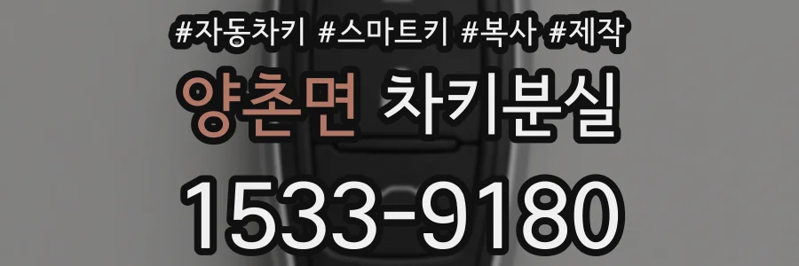 양촌면 차키분실