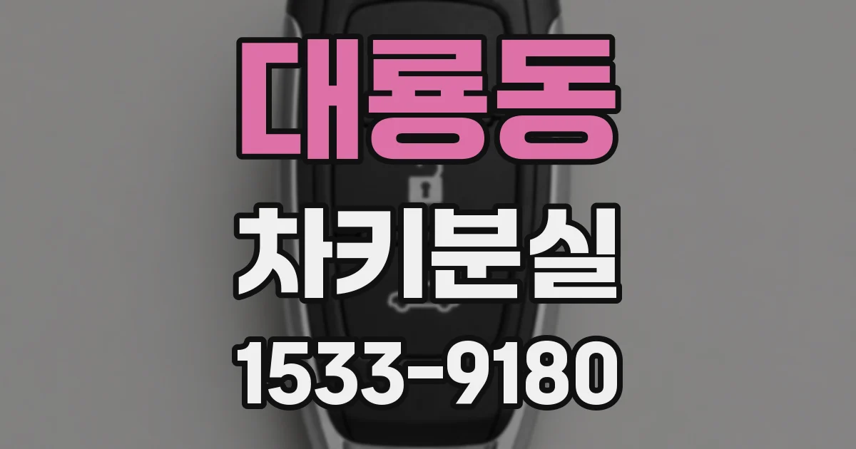 대룡동 차키분실