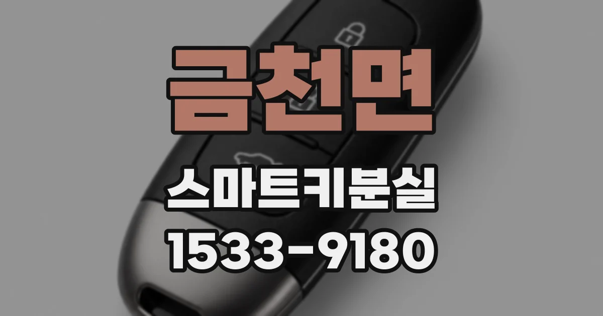 금천면 스마트키분실