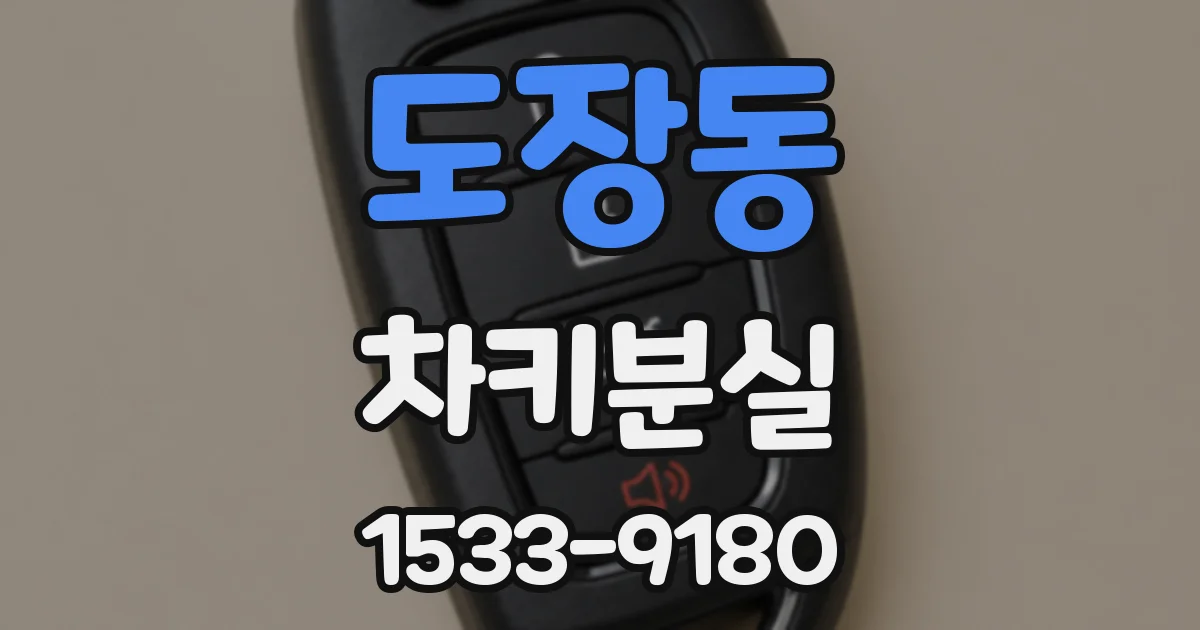 도장동 차키분실
