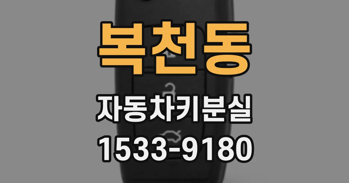 복천동 자동차키분실