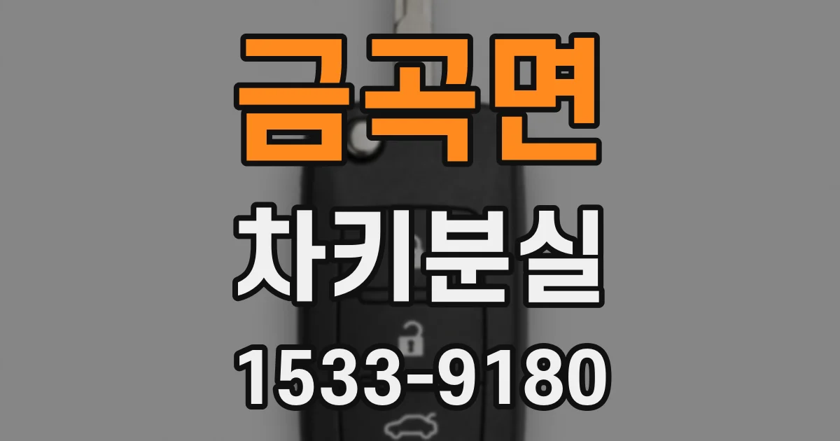 금곡면 차키분실