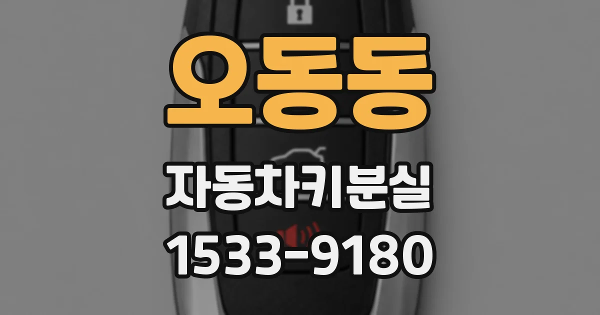 오동동 자동차키분실