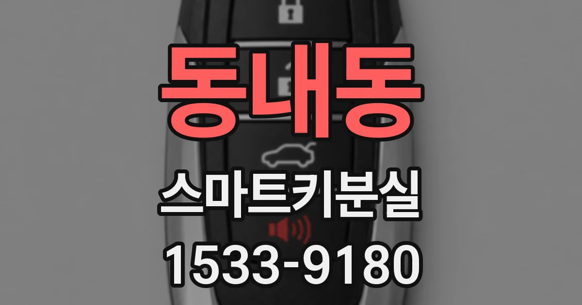 동내동 스마트키분실