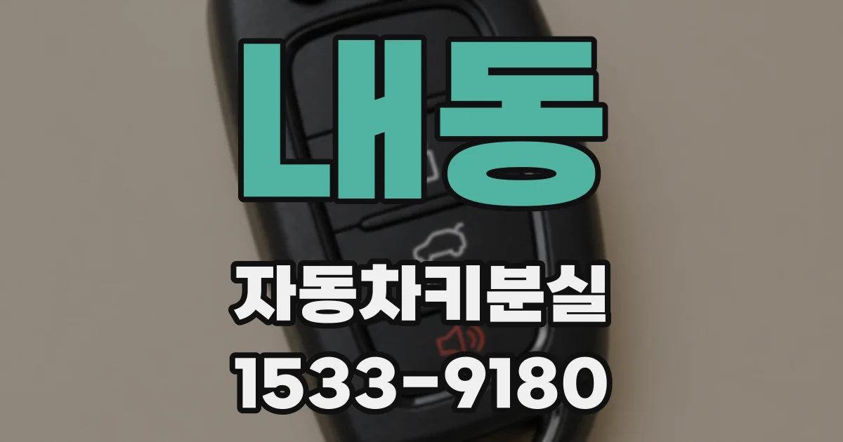 내동 자동차키분실