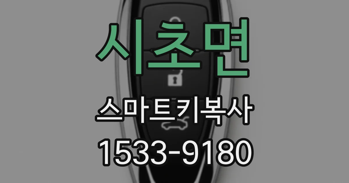 시초면 스마트키복사