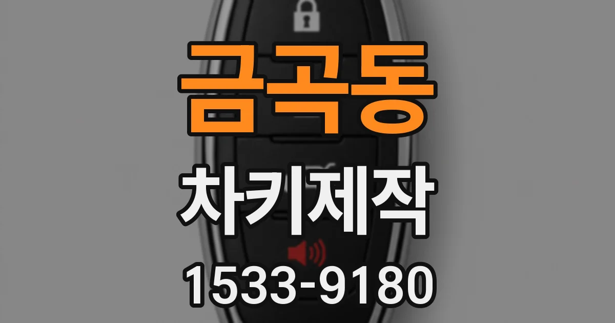 금곡동 차키제작