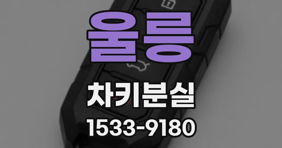 울릉 차키분실