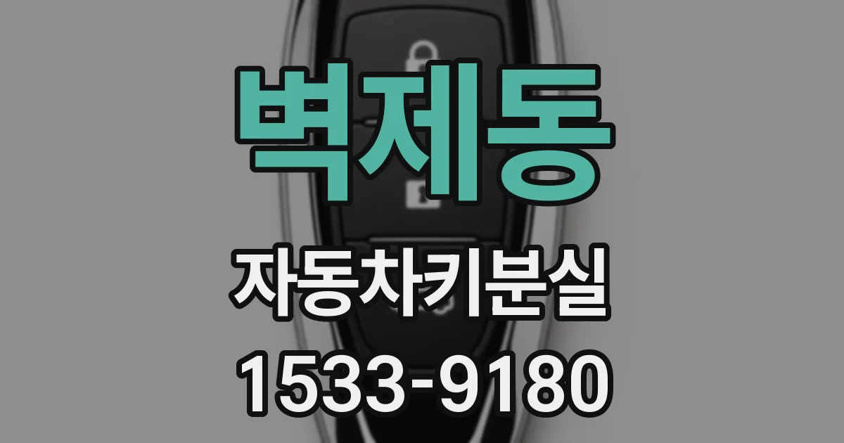 벽제동 자동차키분실