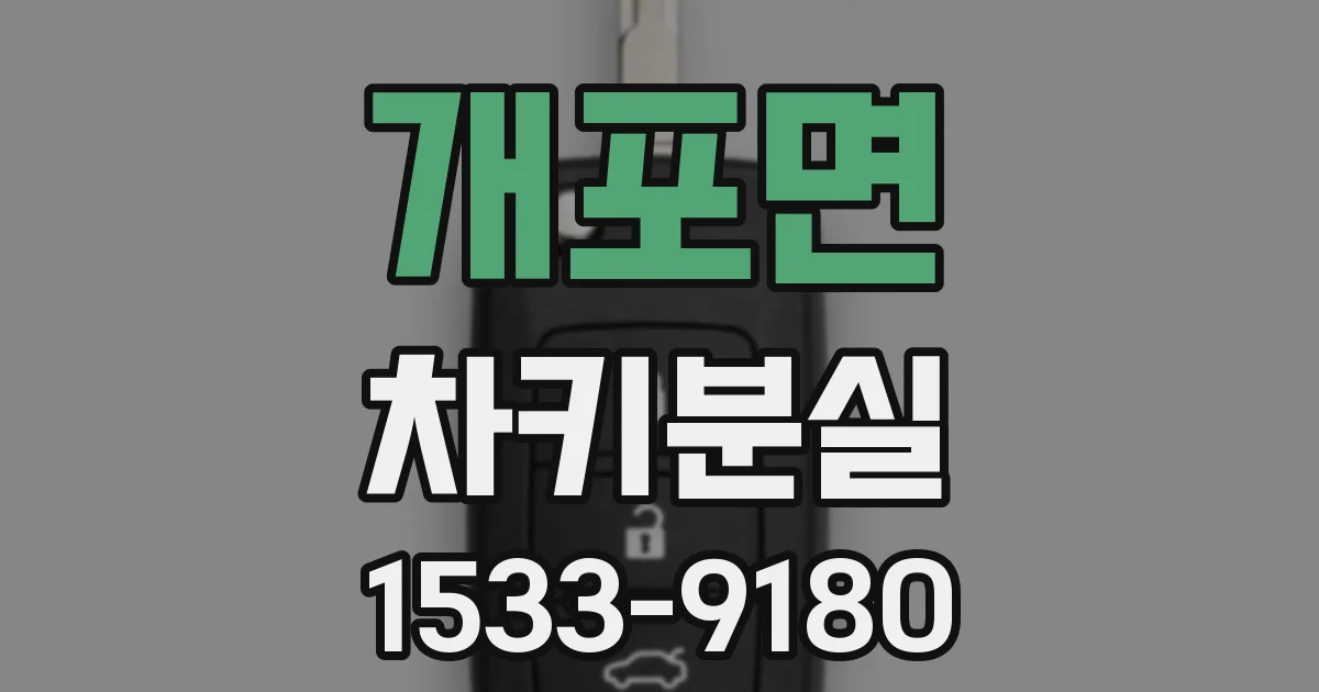 개포면 차키분실