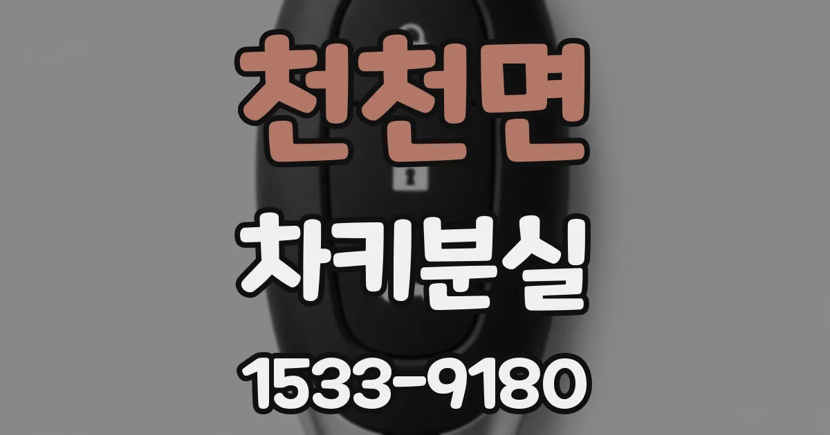 천천면 차키분실