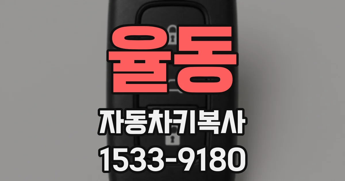 율동 자동차키복사