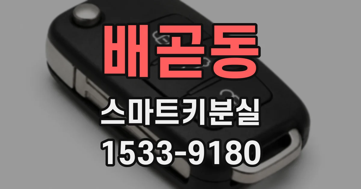 배곧동 스마트키분실