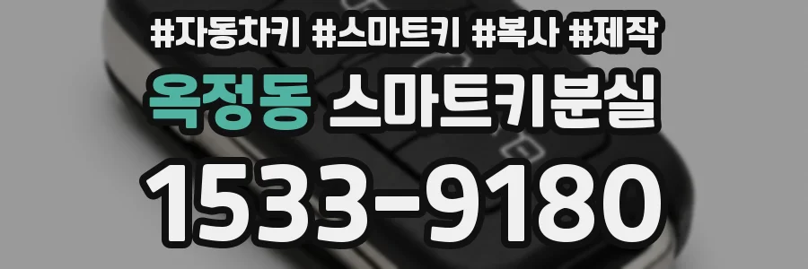 옥정동 스마트키분실