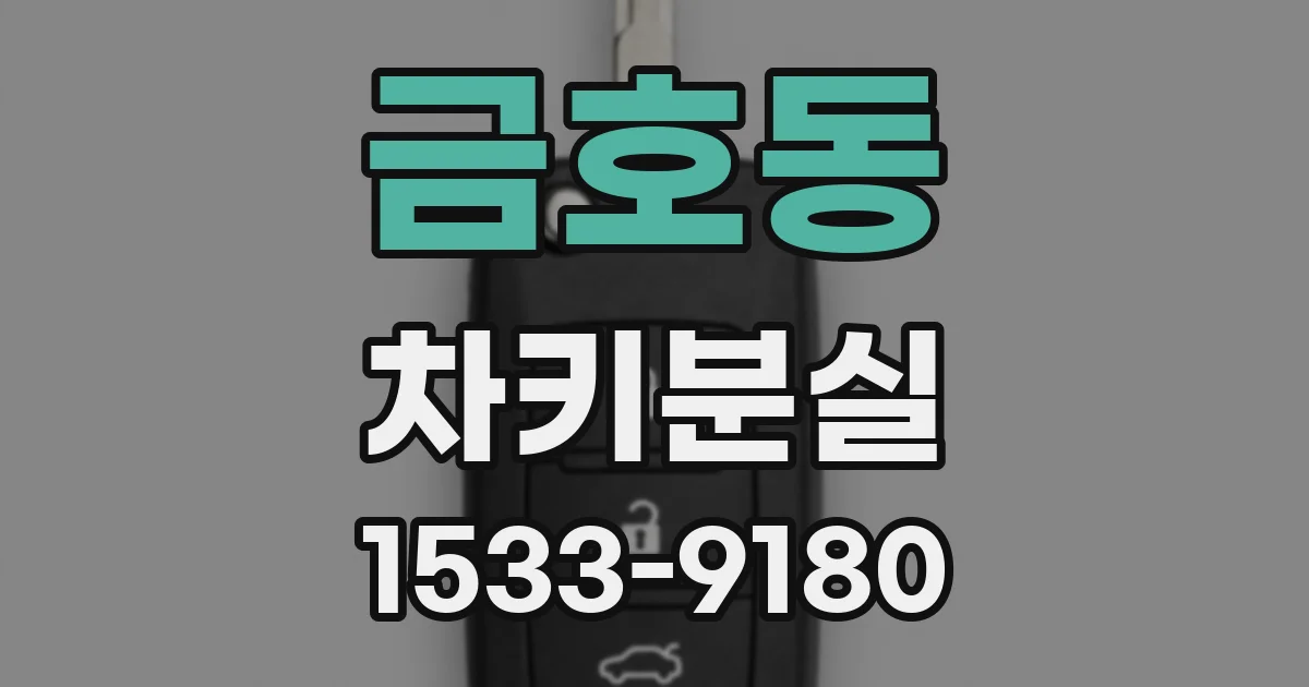 금호동 차키분실
