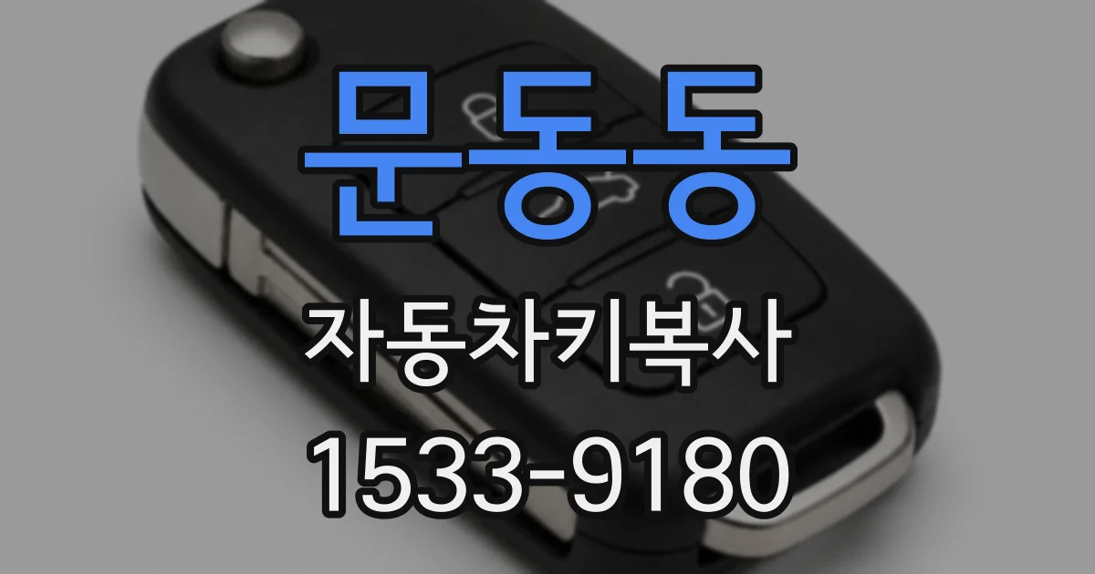 문동동 자동차키복사