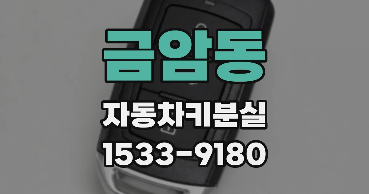 금암동 자동차키분실