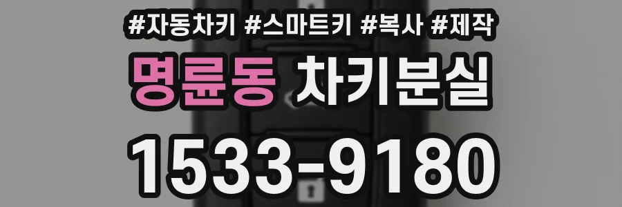 명륜동 차키분실