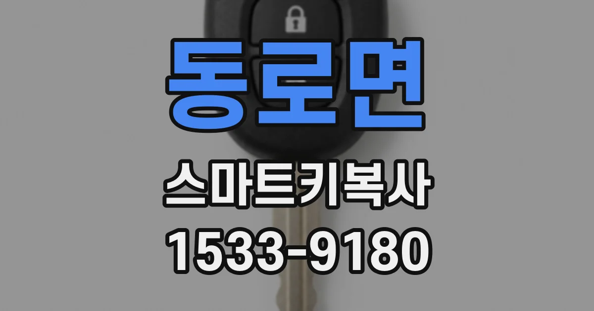 동로면 스마트키복사