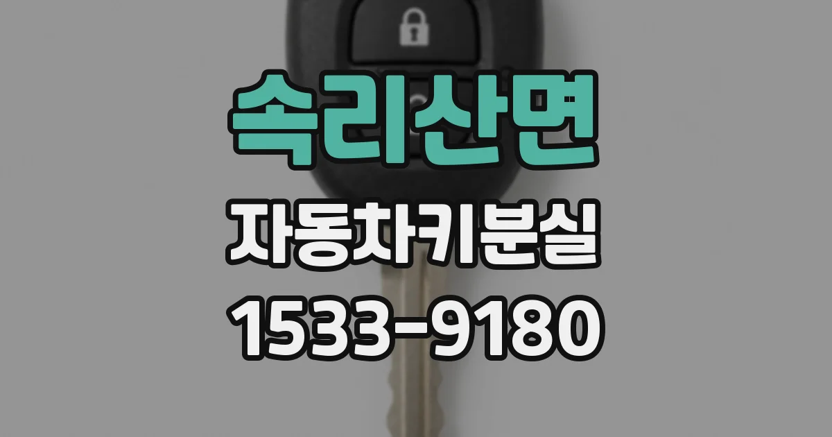 속리산면 자동차키분실