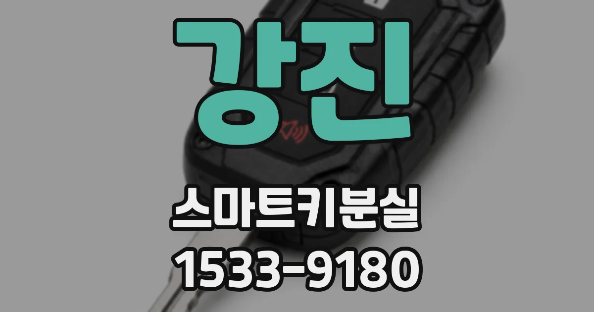 강진 스마트키분실