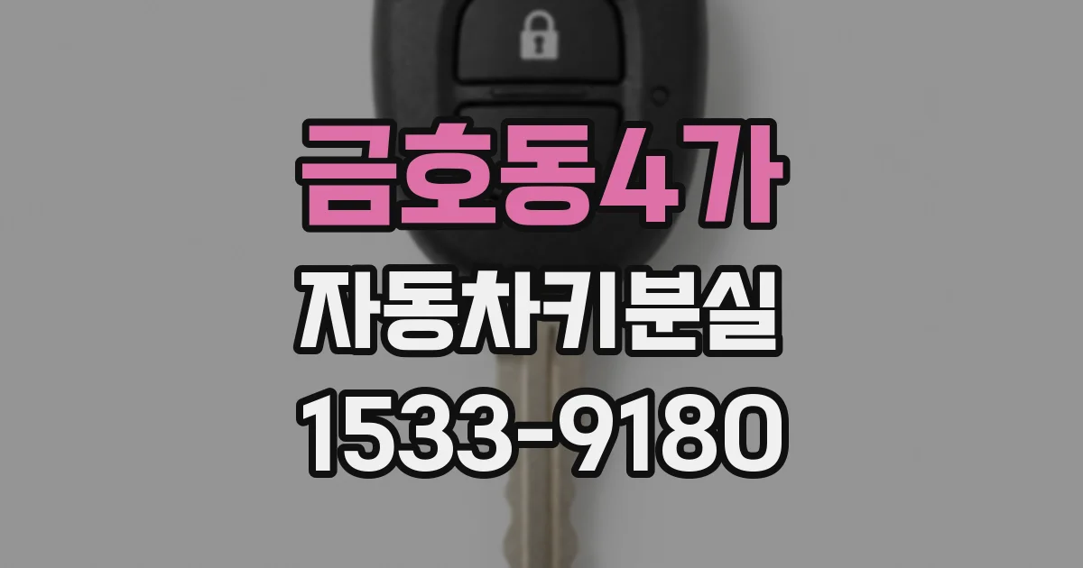 금호동4가 자동차키분실