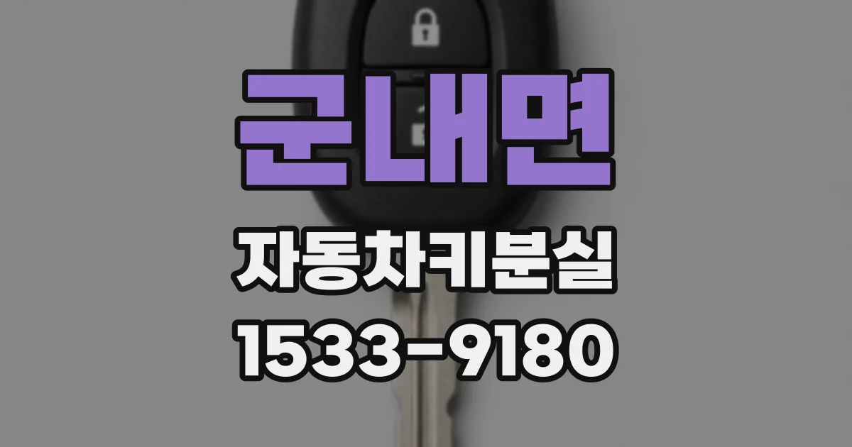 군내면 자동차키분실