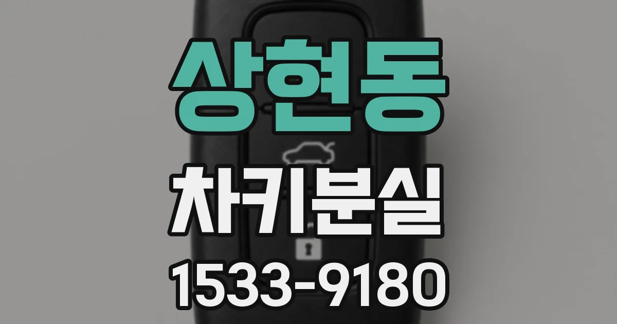 상현동 차키분실