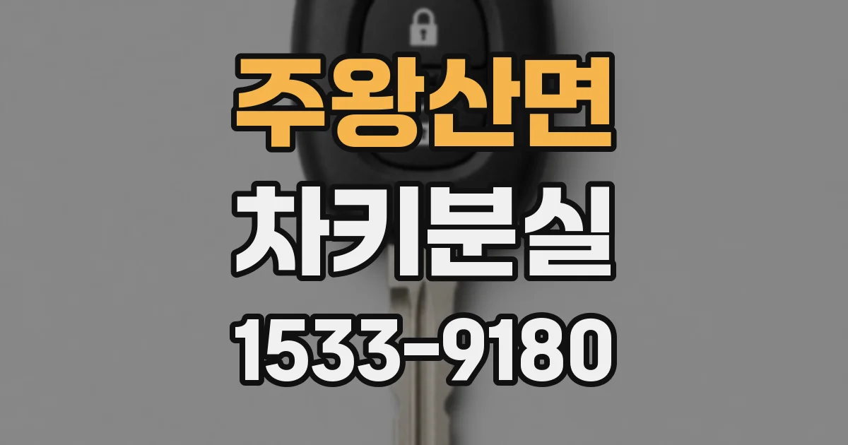 주왕산면 차키분실