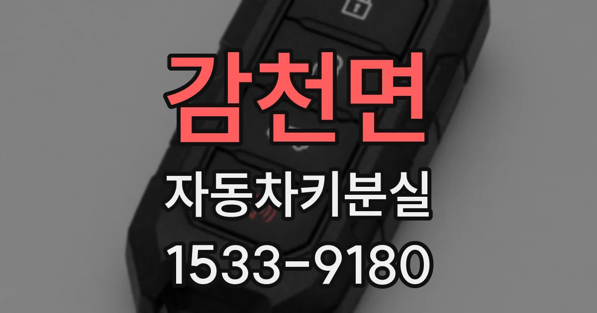 감천면 자동차키분실