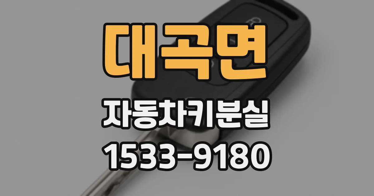 대곡면 자동차키분실