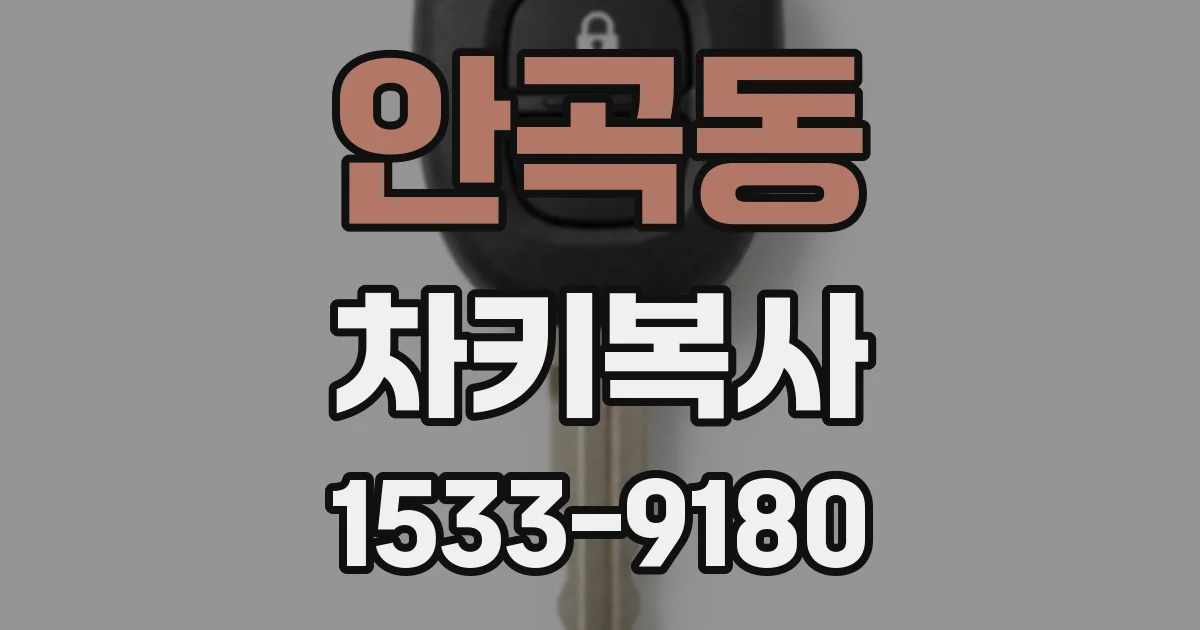 안곡동 차키복사