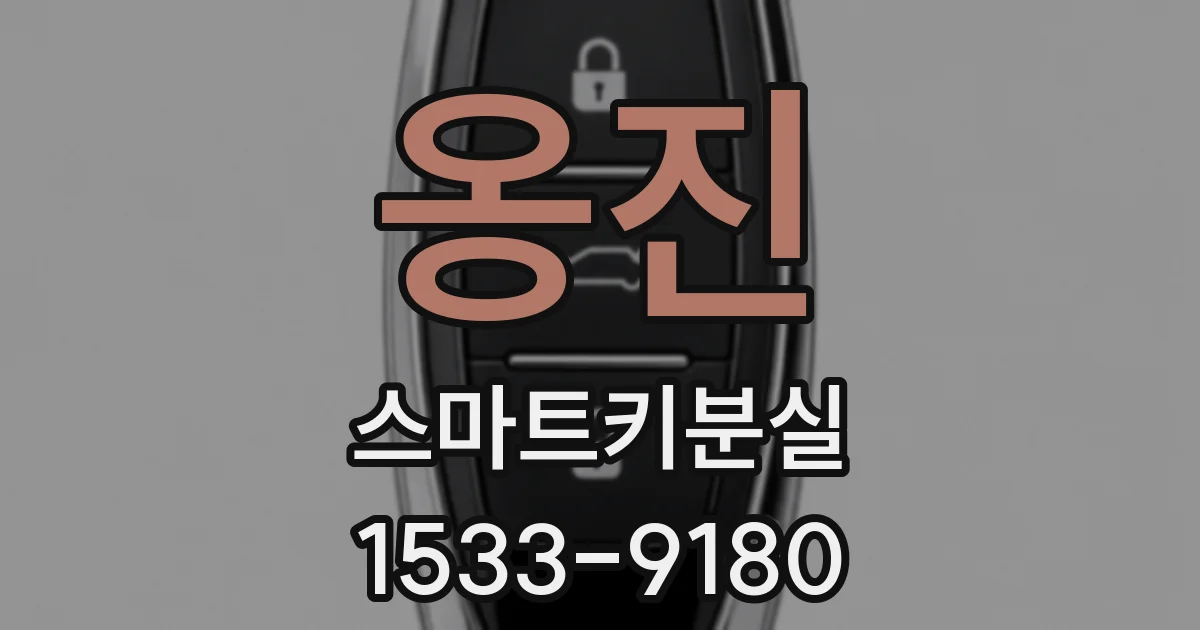 옹진 스마트키분실
