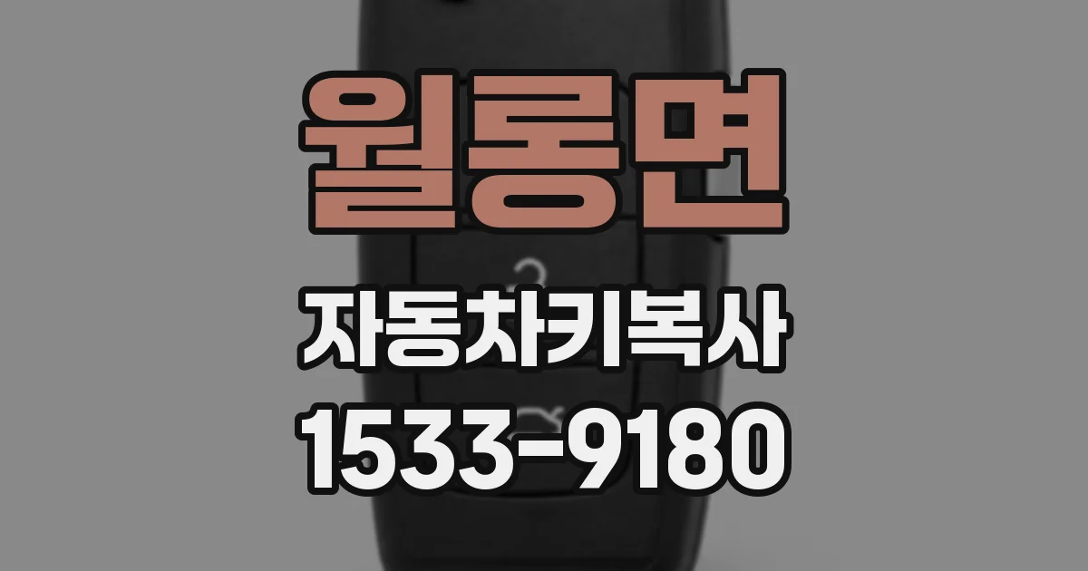 월롱면 자동차키복사